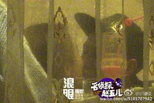 杨紫狗仔爆料视频播放,揭秘明星幕后生活片段